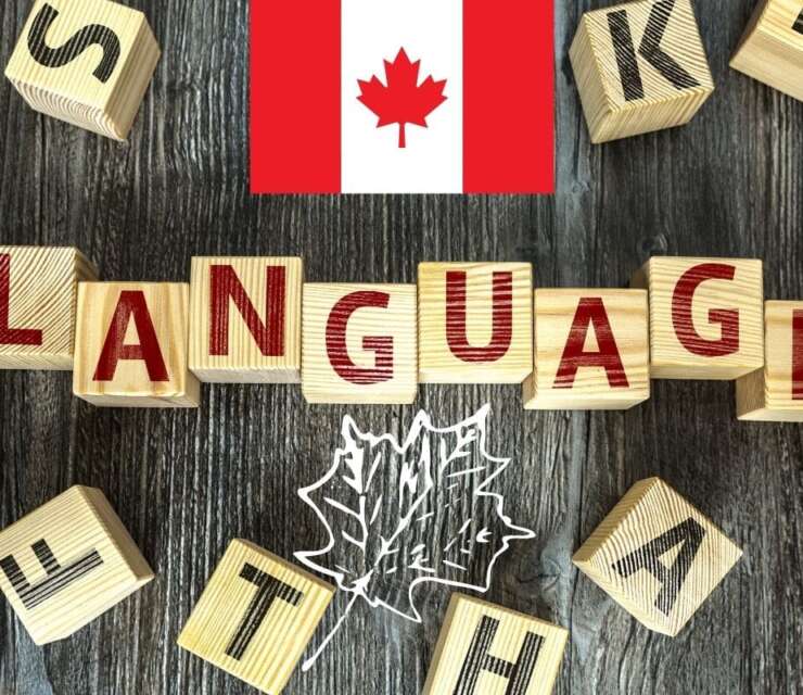 The Importance of Learning the Language in a New Country