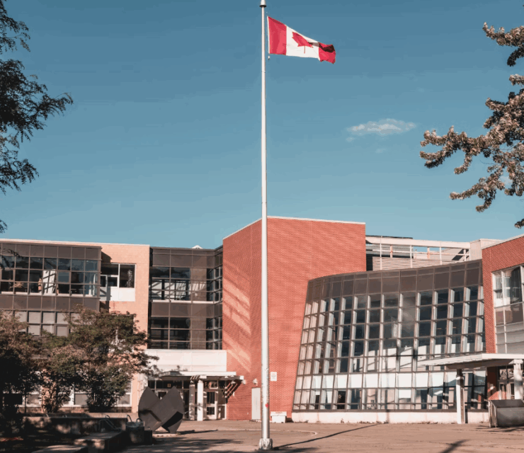 Designated Learning Institutions (DLIs): What They Are and Why They Matter