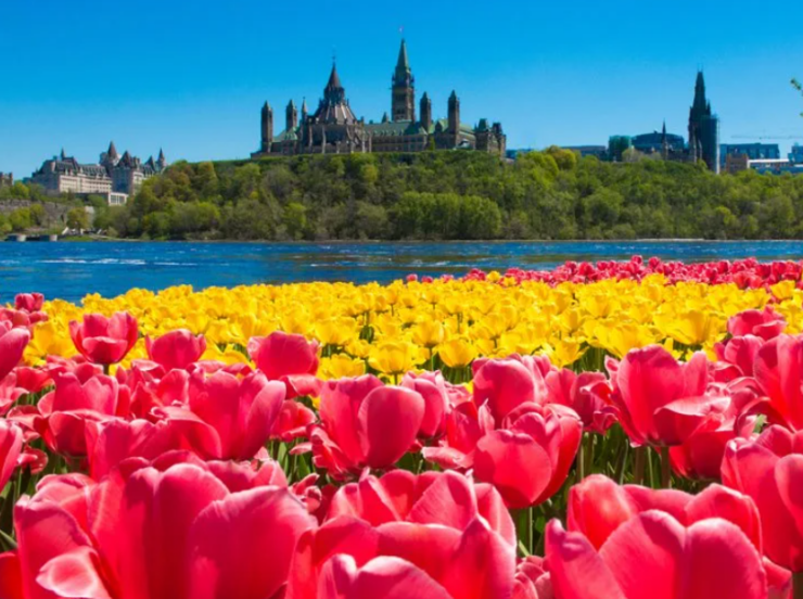 How IRCC Thinks vs. How Applicants Think