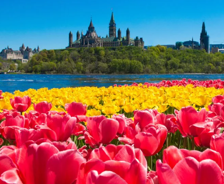 How IRCC Thinks vs. How Applicants Think