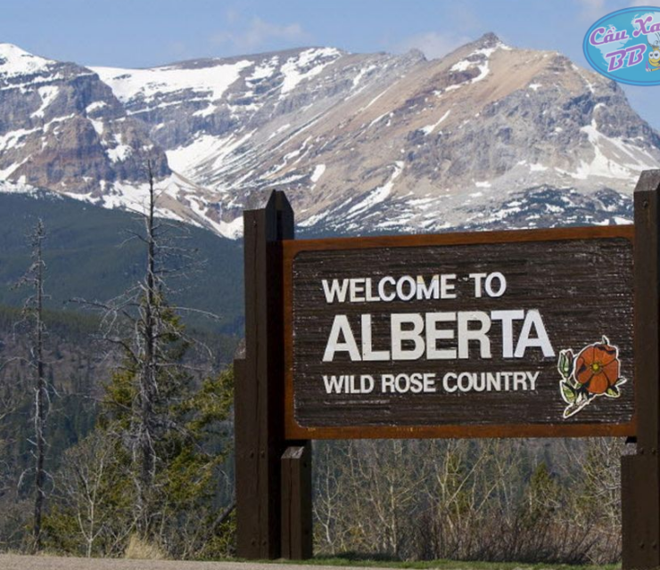 AAIP Update: Results for AOS Priority Sectors and Tourism Draws