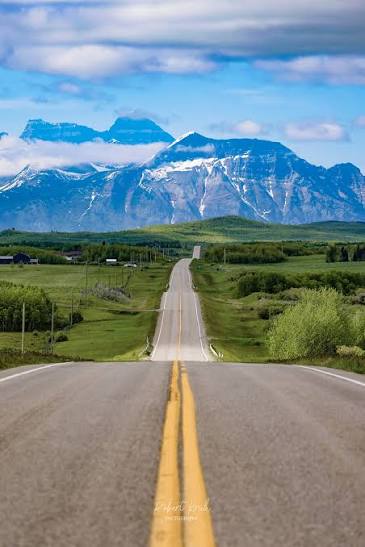 Alberta AAIP Draws in August 2026: Latest Invitations, Scores and What Candidates Need to Know
