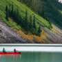 Canada Invites 250 Senior Managers in Latest Express Entry Draw