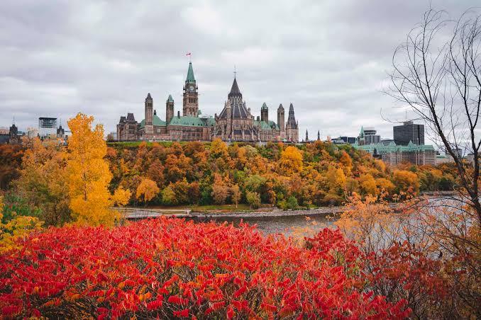 Does Your Spouse Have a Better Immigration Profile Than You? When to Switch the Principal Applicant